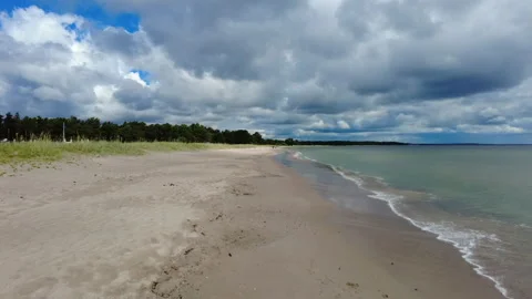 Empty Baltic Sandy Beach and Pine Forest Shoreline Gotland Stock Footage 344615452