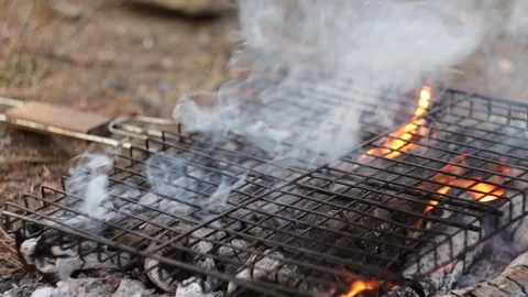 Empty Barbecue Grill on Campfire Stock Footage 303517035