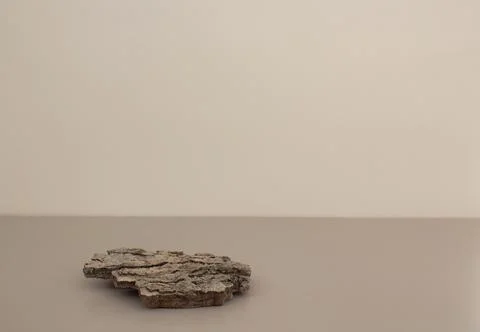 Empty bark of tree podium minimalism on light beige background. Copy space Stock Photos