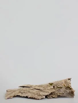 Empty bark of tree podium minimalism on grey background. Copy space, place for Stock-Fotos