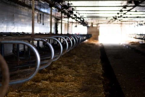 Empty barn  Stock Photos