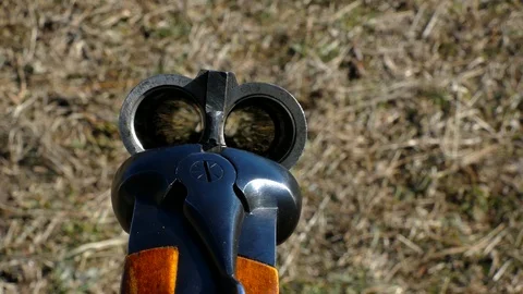 Empty barrels of a double-barreled gun Video stock 123574202