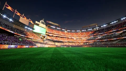 Empty baseball and cricket arena with fans in the evening lights Video stock 164091024
