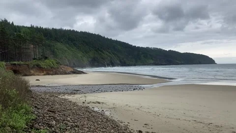 The empty beach at Cape Lookout State Park in Oregon 動画素材 229795188