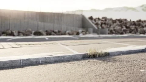 Empty beach car park spaces covered in asphalt. Stock Illustration