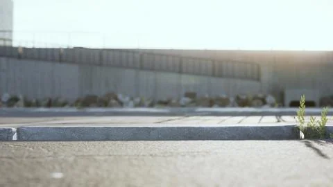 Empty beach car park spaces covered in asphalt. Stock Illustration