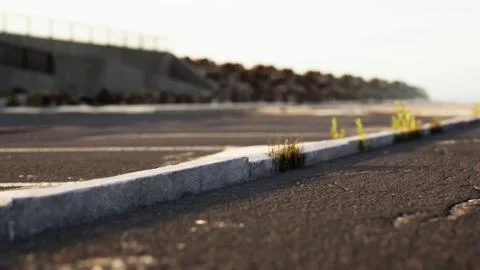 Empty beach car park spaces covered in asphalt. Stock Illustration