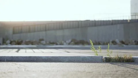 Empty beach car park spaces covered in asphalt. Stock Illustration