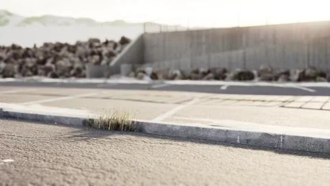 Empty beach car park spaces covered in asphalt. Stock Illustration