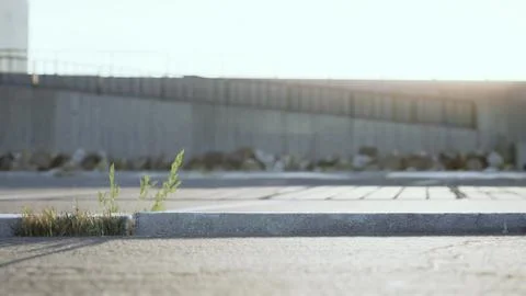 Empty beach car park spaces covered in asphalt. Stock Illustration