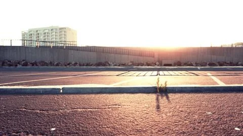 Empty beach car park spaces covered in asphalt. Stock Illustration