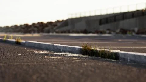 Empty beach car park spaces covered in asphalt. Stock Illustration