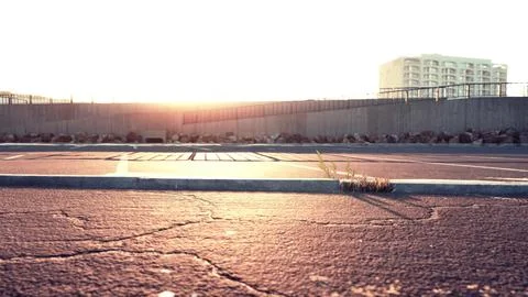 Empty beach car park spaces covered in asphalt. Ilustração Stock