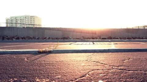 Empty beach car park spaces covered in asphalt. Ilustração Stock