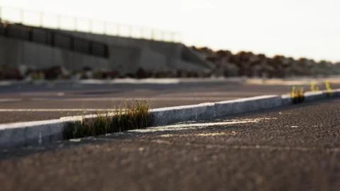 Empty beach car park spaces covered in asphalt. Stock Illustration