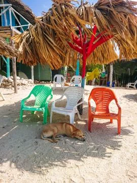 Empty beach in the caribbean Stock Photos