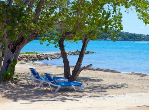 Empty beach chairs in a shadow of trees at the sea. Jamaica Stock Photos