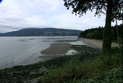 Empty Beach Stock-Footage 356616