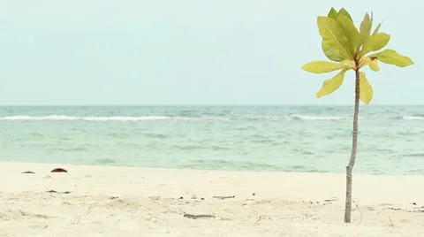 Empty beach Video stock 21999146