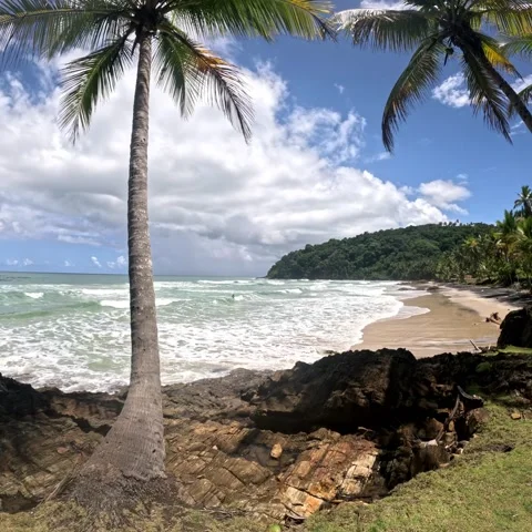Empty beach Stock Footage 234010610