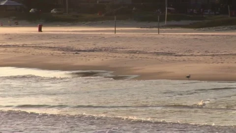 Empty beach Stock Footage 315593694