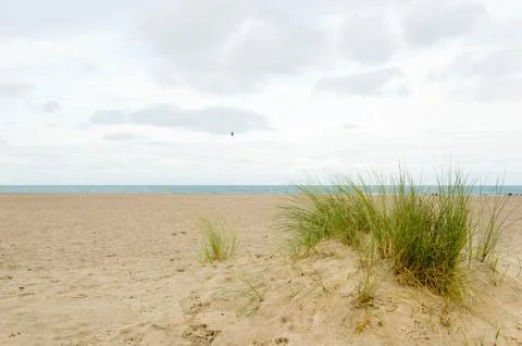 Empty beach in holland Fotos Stock