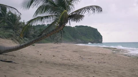 Empty beach in Isabela Puerto Rico on cloudy day Stock Footage 157401543