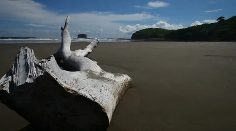 Empty beach in nicaragua Vidéo 1000095