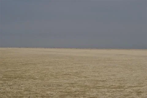 Empty beach at the North sea at a cloudy day Stock Photos