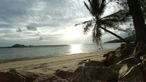 Empty beach with a palm tree blowing as the sun starts to set Stock Footage 40010966