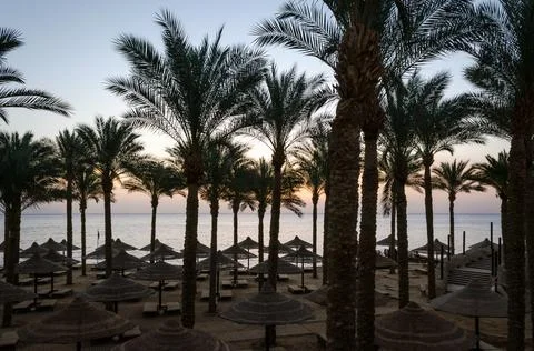 Empty beach with palm trees and umbrellas in egypt sharm el sheikh at sunrise Stock-Fotos