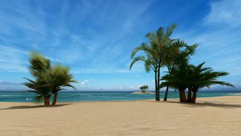 Empty beach with palm trees Stock Footage 145143283