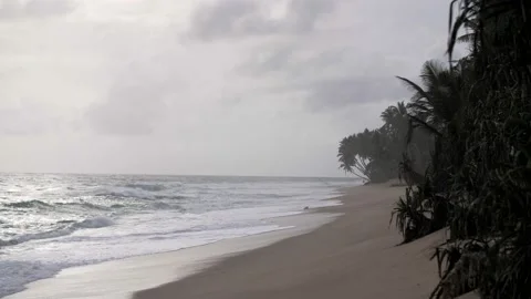 Empty beach with palm trees Stock Footage 198399240