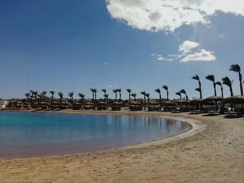 Empty beach with palms and beach umbrellas Foto stock