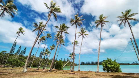 An empty beach by a paradisiacal lagoon with coconut tree and columnar Stock Footage 162010194