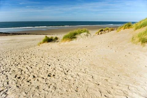 Empty beach Stock Photos