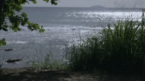 Empty beach in Rincon Puerto Rico on sunny day Stock Footage 157400015