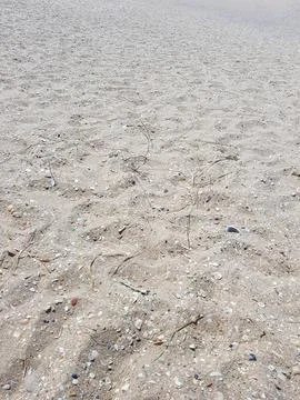 Empty beach sands in summer Stock Photos