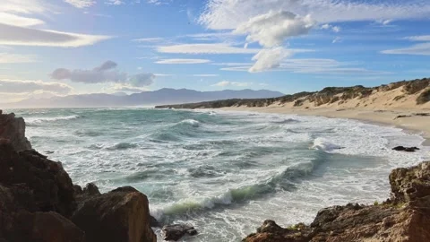 Empty Beach Shoreline with Ocean Waves Stock Footage 310951272