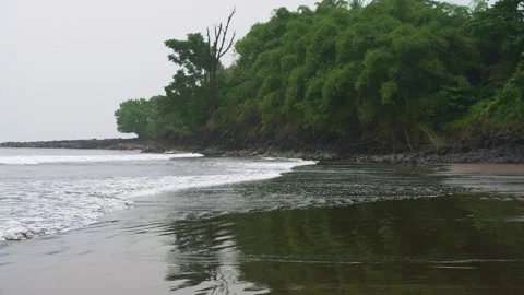 Empty Beach In A Small Bay Surrounded By Tropical Jungle Stock Footage 261562484