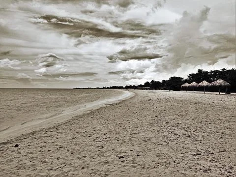 Empty beach with straw umbrellas and cloudy sky in monochrome Stock Photos