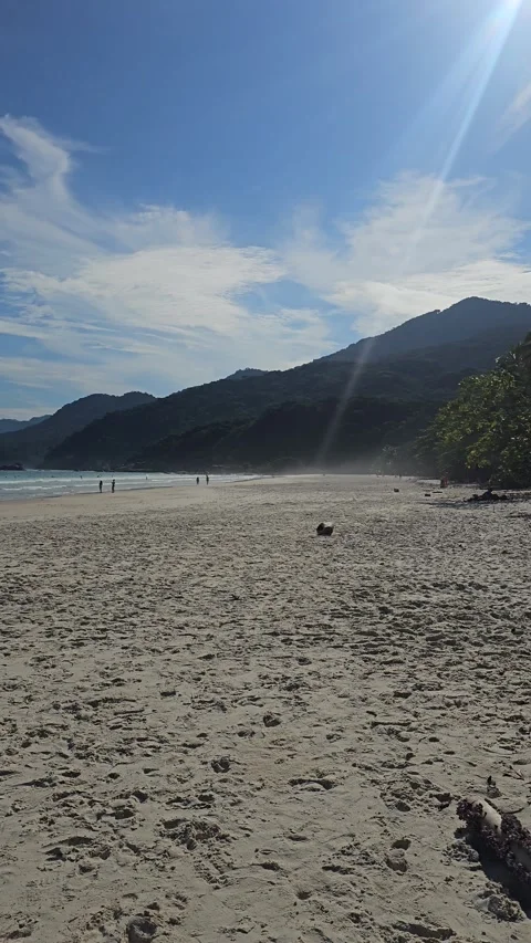 Empty beach with sun flare, Brazil Vertical 4K Stock Footage 348256284