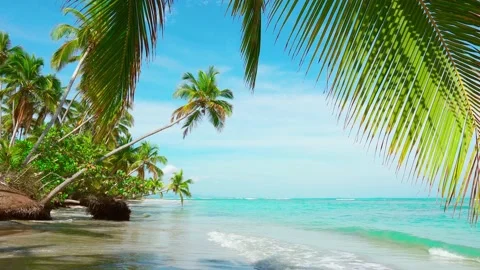 The empty beach of Thailand without people, copy space. The tropical nature. Stock-Footage 153222189