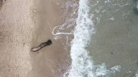 Empty beach tide sea no people Stock Footage 157705967