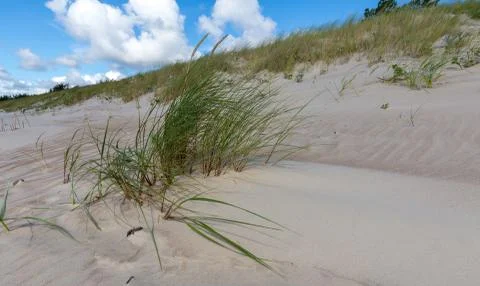 Empty beach under blue cloudy sky with grass bunch in foreground, Palanga, Li Stock Photos