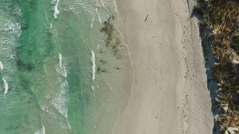 Empty beach with waves in Australia Stock Footage 242106717