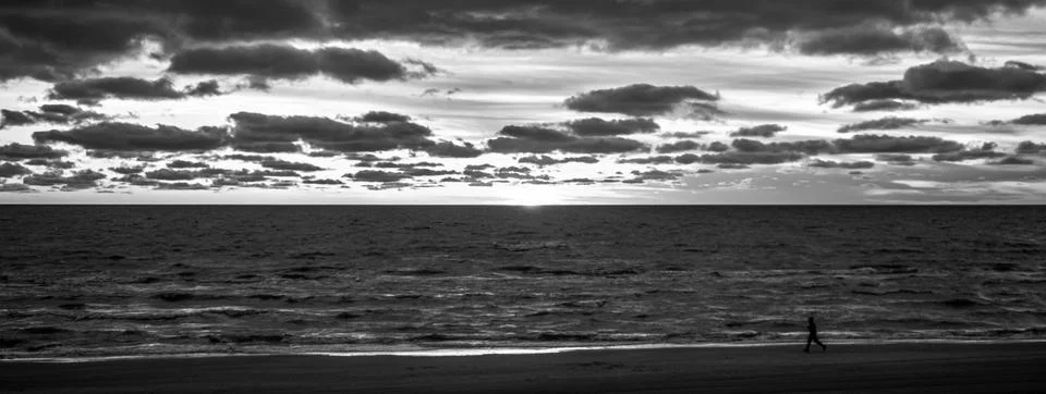 Empty beach wind with tree line against the cloudy sky sunset in Palanga city Stock Photos