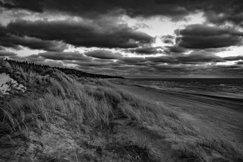 Empty beach wind with tree line against the cloudy sky sunset in Palanga city Stock Photos