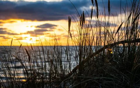 Empty beach wind with tree line against the cloudy sky sunset in Palanga city Stock Photos