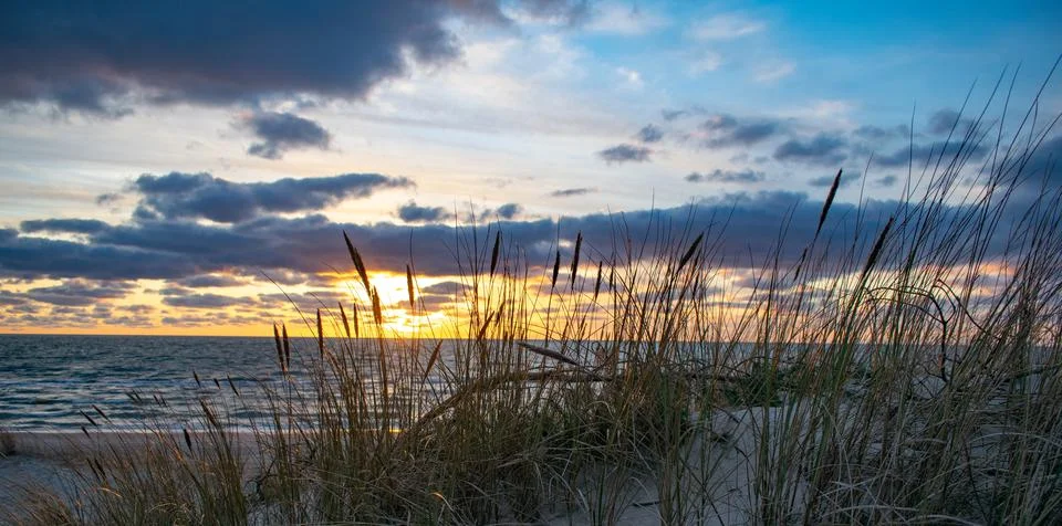 Empty beach wind with tree line against the cloudy sky sunset in Palanga city Stock Photos